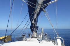 p1050641