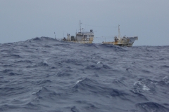 p1050678