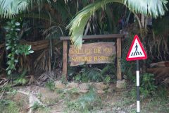 Vallee De Mai National Park