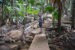 Vallee De Mai National Park